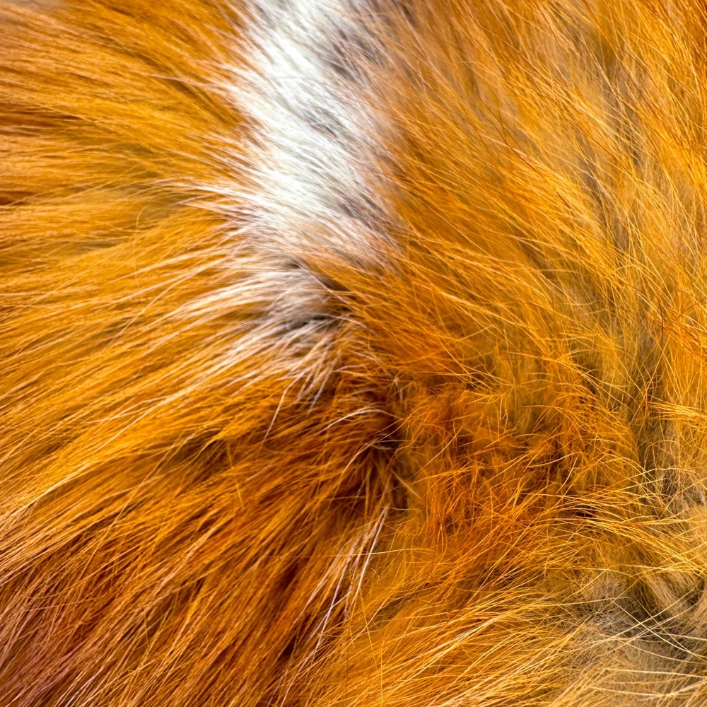 Vintage Genuine Red Fox Fur Hand Muff - Picture 5 of 15